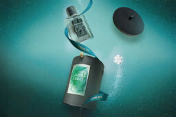 Odyssée Céladon - Flacon artistique signé Didier Guillon.