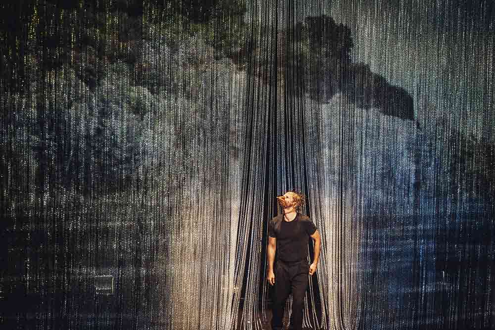 Le Vilain Petit Canard - Un bec de canard.