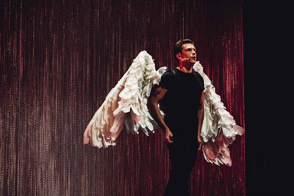 Le Vilain Petit Canard - Le canard devient Cygne.