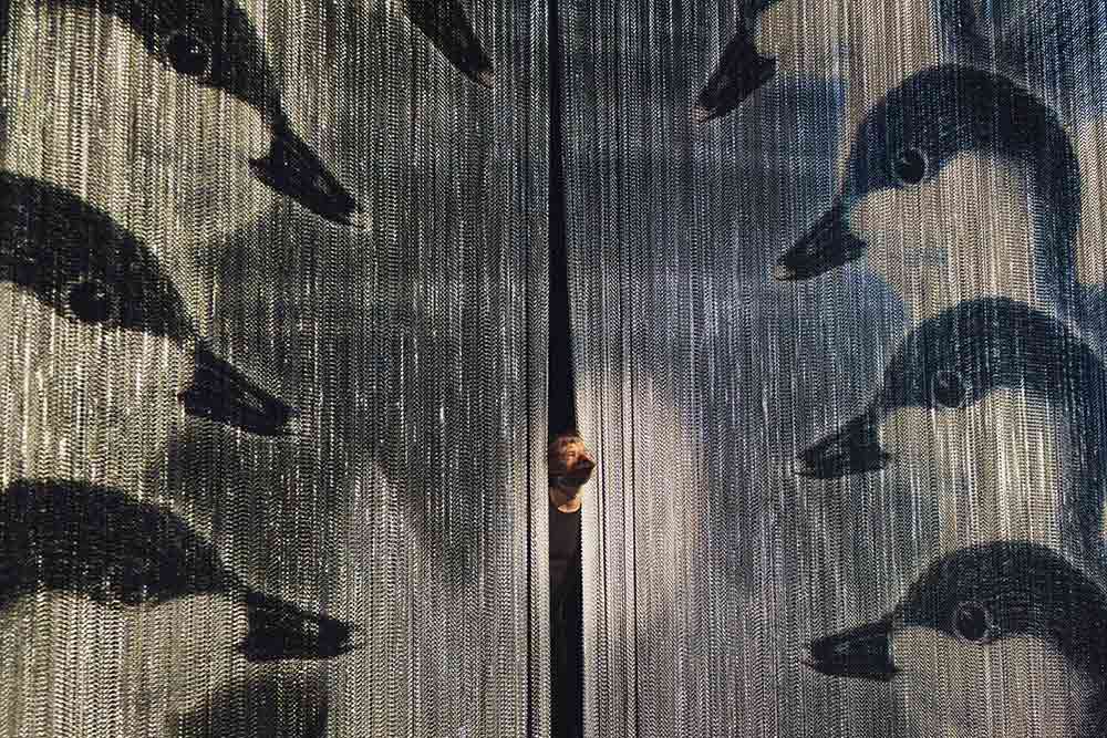 Des canards sur le rideau.