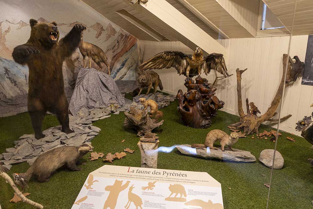 Lourdes - Quelques animaux des montagnes expliqués aux visiteurs.