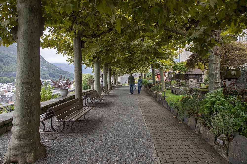 Sur l’allée principale du jardin botanique du château de Lourdes.