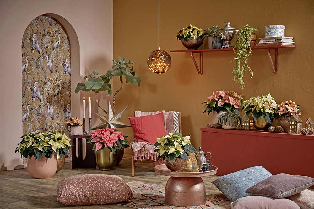 Une belle décoration avec ces jolies fleurs.