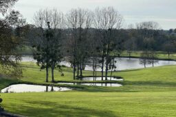 Vue sur les étangs depuis le côté gauche de la terrasse.