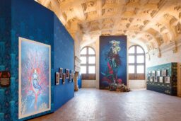 Après le rose, du bleu... une belle harmonie.