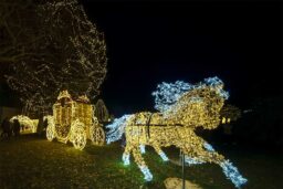 Nouvel An - Godollo fenykert.