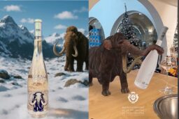 Grain de Glace : réalité augmentée