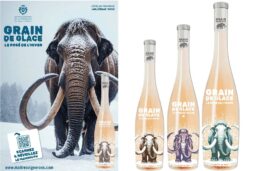 Grain de Glace : réalité augmentée