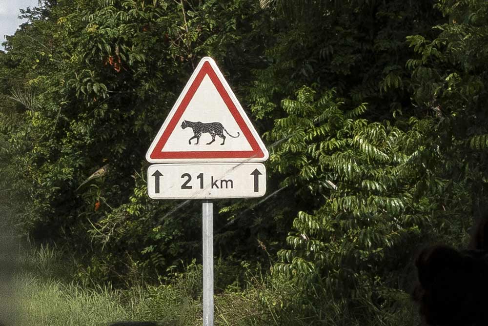 Kourou - Avec ses 660 km², inaccessibles au public, Kourou est devenue une véritable et intéressante réserve naturelle.