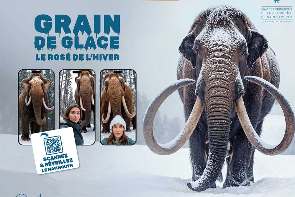 Grain de Glace : réalité augmentée