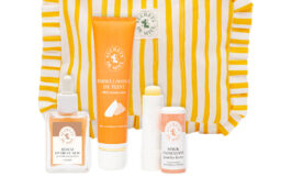 Secrets de Miel : le meilleur de la ruche dans les trousses de fête