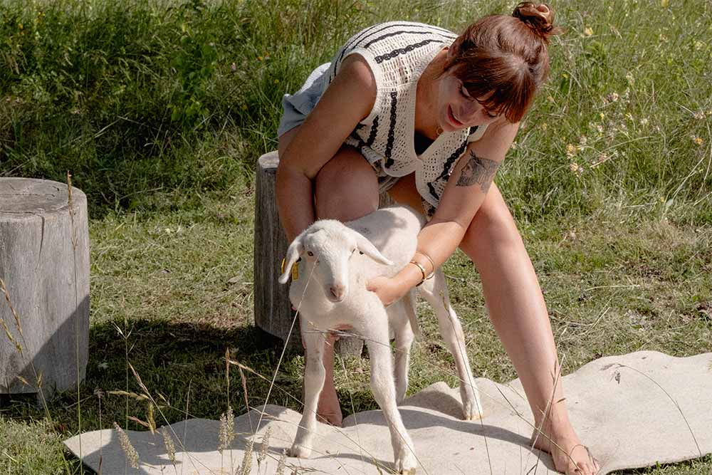 Le Tapis de Laine - un agneau vraiment mignon.