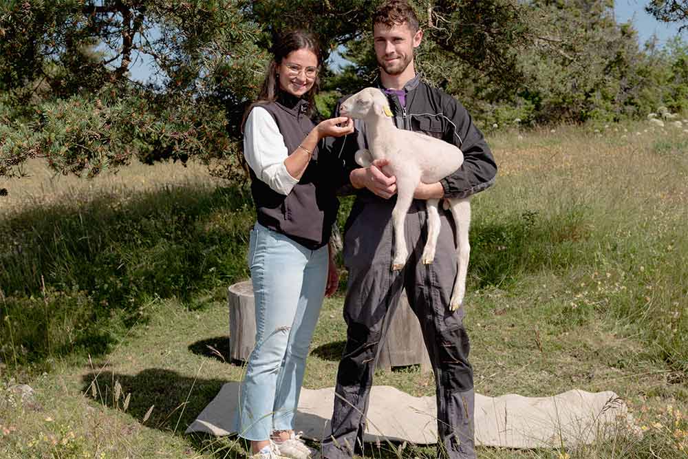 Des éleveurs aux petits soins pour leurs animaux.