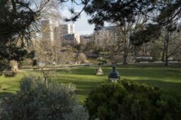 Le parc Montsouris, rien à l’horizon, mais il faut un peu attendre pour commencer à voir les oiseaux !