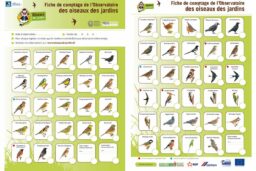 Les fiches de comptage LPO à télécharger sur le site
