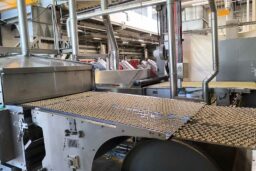 Pas moins de 42 tonnes produites par jour.