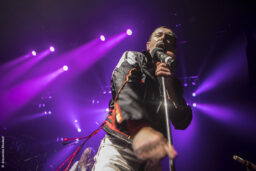 One Night of Queen - Gary Mullen, véritable sosie vocal de Freddie Mercury.