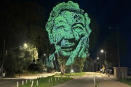 Sud-Corse - Toussainte (Porto-Vecchio).