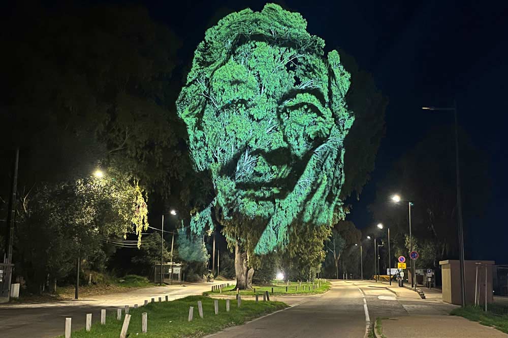 Sud-Corse - Toussainte (Porto-Vecchio).