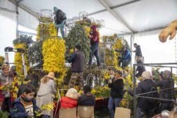Autour des structures des chars, de nombreux bénévoles donnent forme aux chars, dans une organisation millimétrée. À chacun sa tâche !