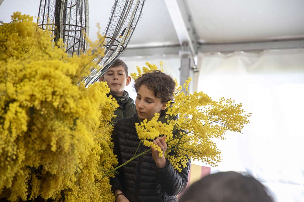 Mimosa - Les enfants sont aussi de la partie ! Ils ont appris le geste juste.