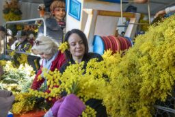 Des mains, du mimosa, du temps partagé : ici, la fête se construit avant de se montrer.