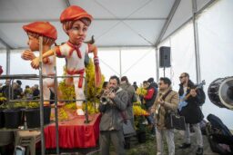 Mimosa - es musiciens sont là pour donner l’ambiance… et ils réussissent parfaitement !