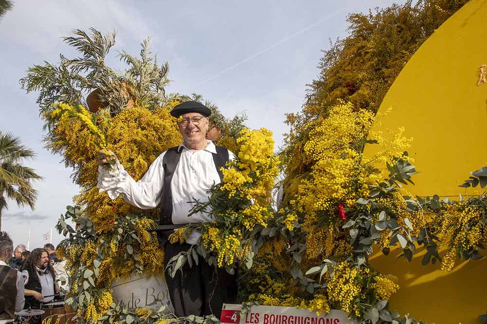 Sur les chars, les participants saluent la foule, portés par une marée de mimosa qui transforme le corso en vague jaune.