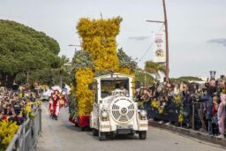 Le char de Mandelieu ouvre la marche, recouvert de mimosa, avec la tour du Château de La Napoule en vigie symbolique.