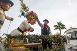 Lancé de mimosa sur le char de Savoie.