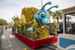 Mimosa - Le char de la Bourgogne et son bel escargot.