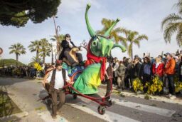 Mimosa - Un char original.