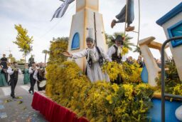 Mimosa - Le char de la Bretagne.