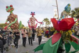 Mimosa - Les marionnettes géantes de Margouillats Sunrise et les musiciens.