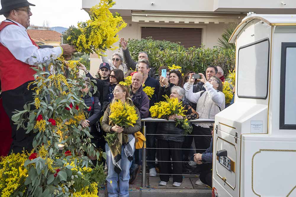 Mimosa - Ce défilé mérite bien une photo…