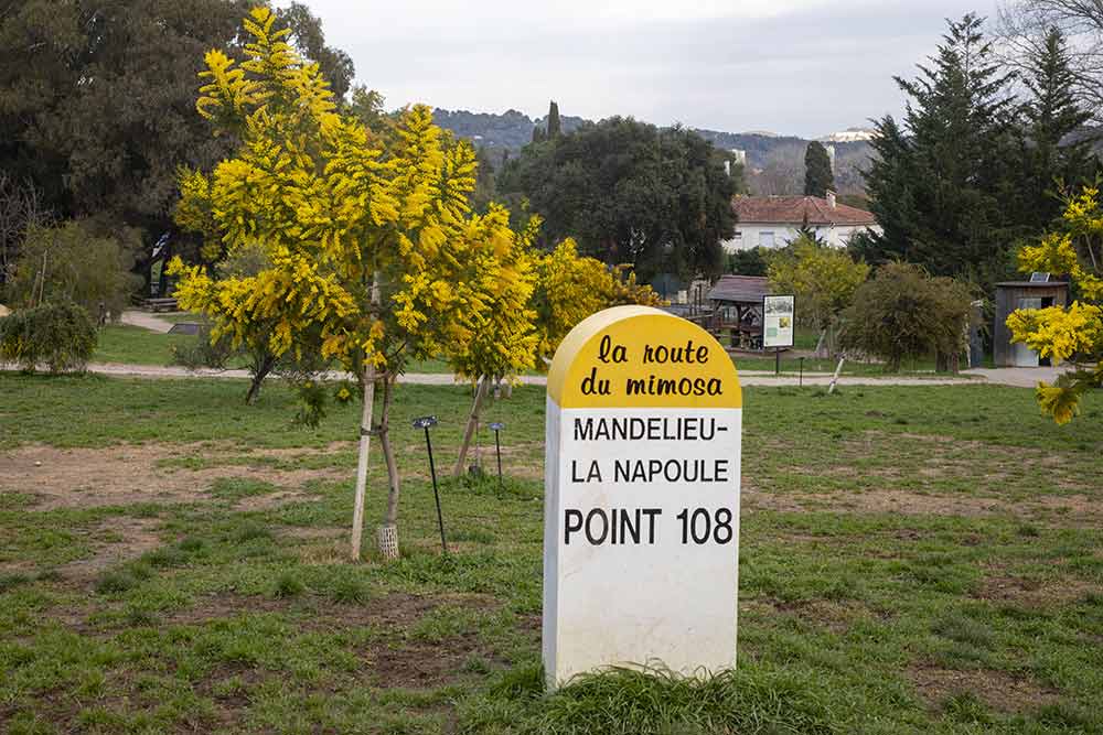 Mandelieu - Mandelieu est une étape de la Route du Mimosa, au point 108 !