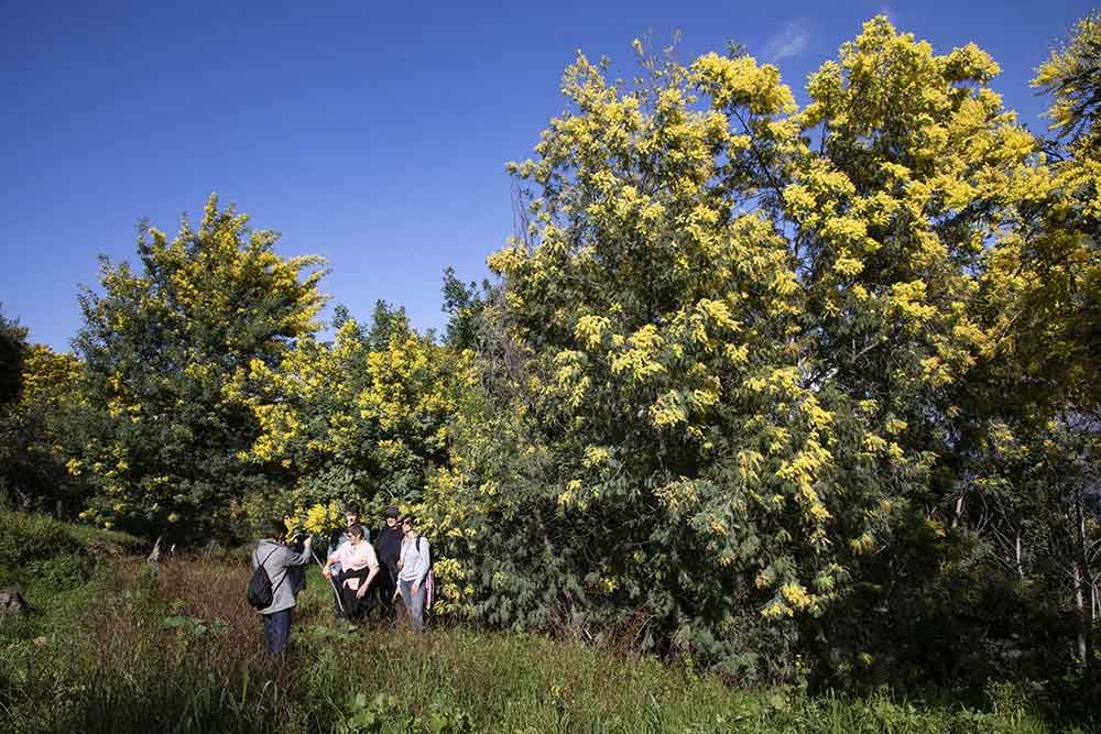Mandelieu - Des photos, bien sûr !