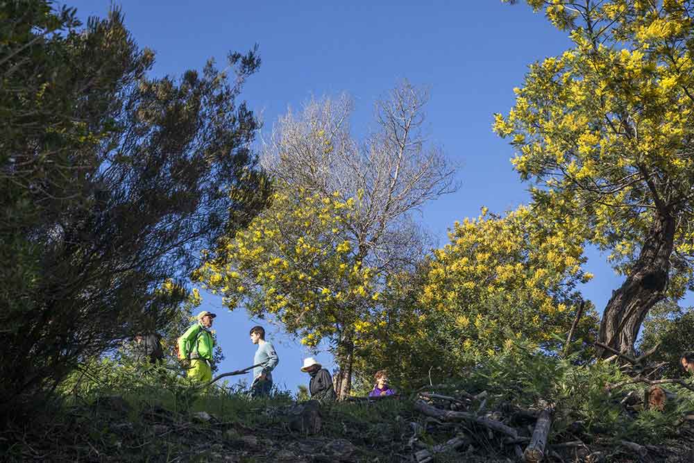 Il faut monter, mais cela vaut le coup !