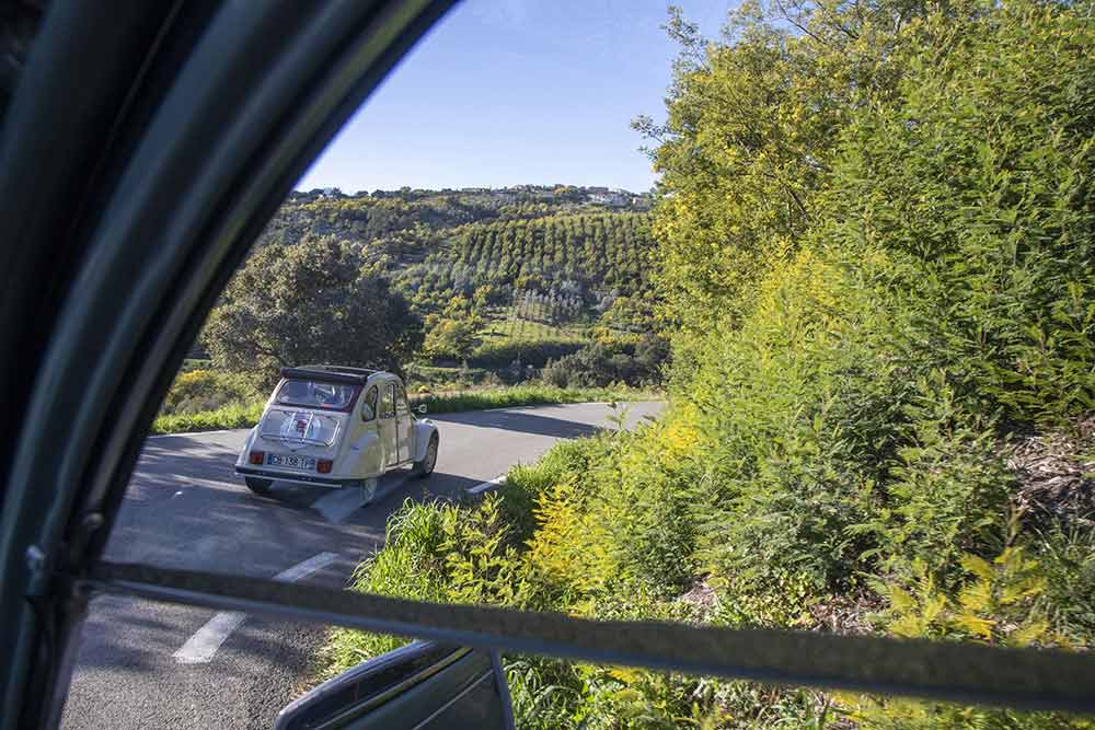 La 2 CV roule tranquillement dans le Tanneron.
