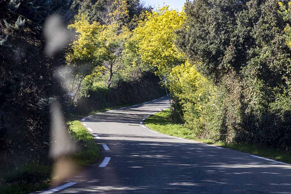 À chaque virage, sa surprise.