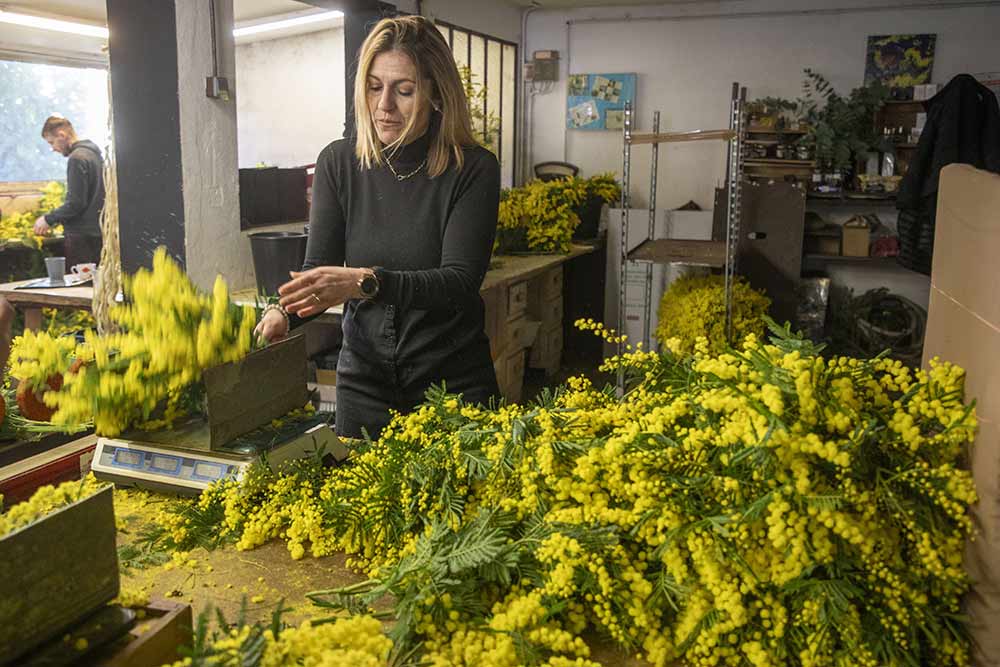 Dorothée à la composition des bouquets… au poids.