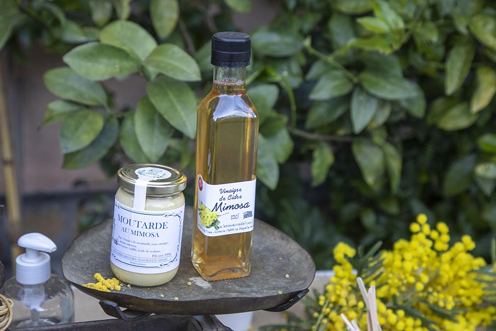 Mandelieu - Du vinaigre, de la moutarde… au mimosa.