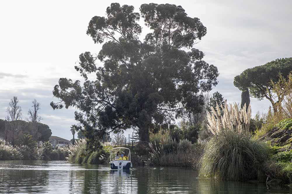 Mandelieu - Un moment de pur bonheur !