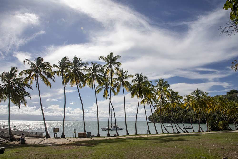 Îles-du-Salut - À quelques pas du débarcadère de l’île Royale, le visiteur découvre un paysage de carte postale, entre palmiers, lumière et mer calme.