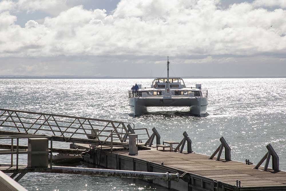 Îles-du-Salut - Arrivée du catamaran, la navette Promaritime, qui fait la traversée en une heure.