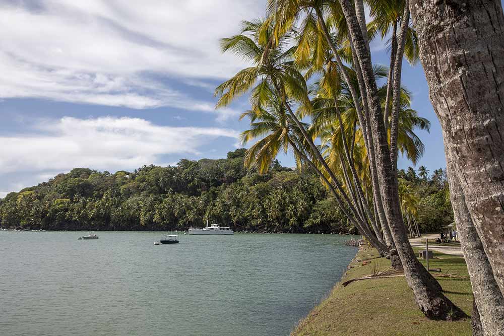 Îles-du-Salut - Les îles du Salut : il faut absolument y aller…