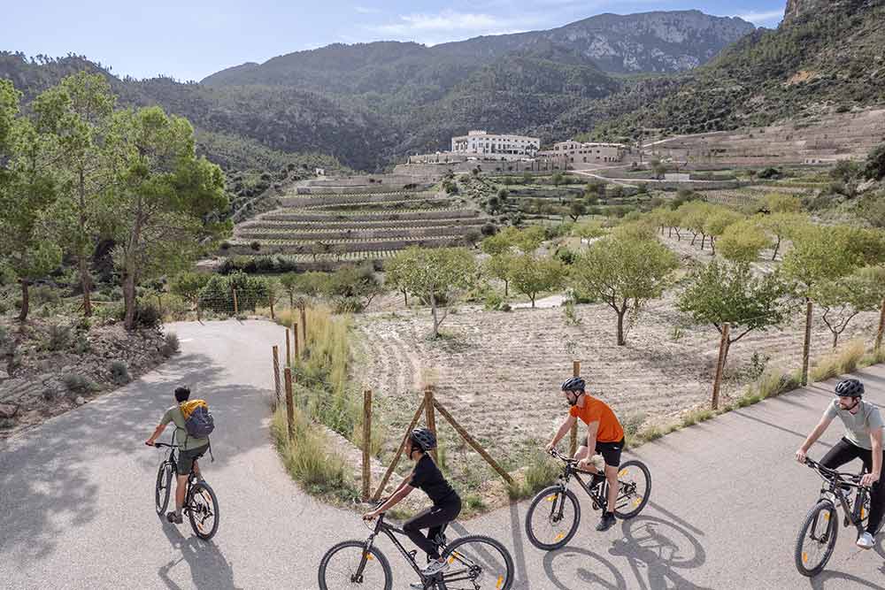 Des promenades en vélo.