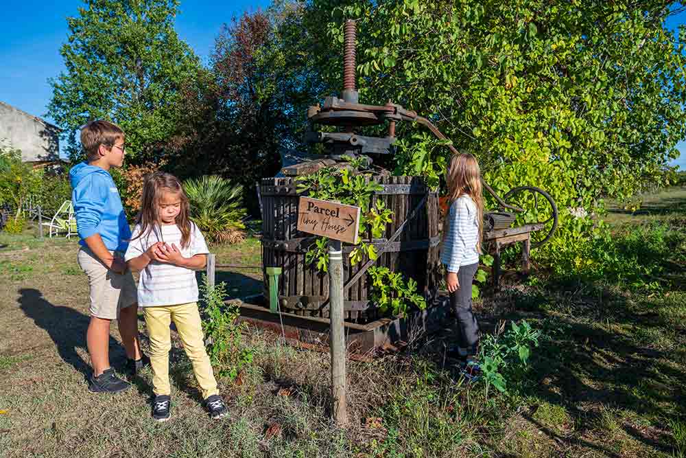 Saint-Emilion - Les enfants sont très intéressés par la vigne et ce qui s'y rapporte.