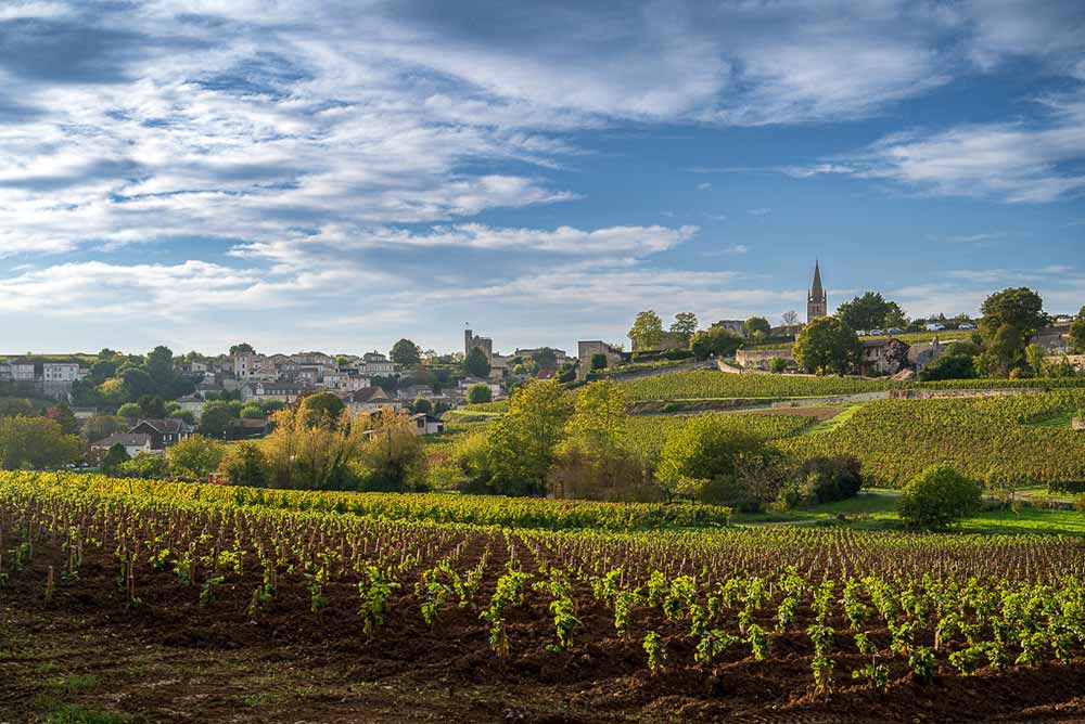 Saint-Emilion - Des vignes à perte de vue.
