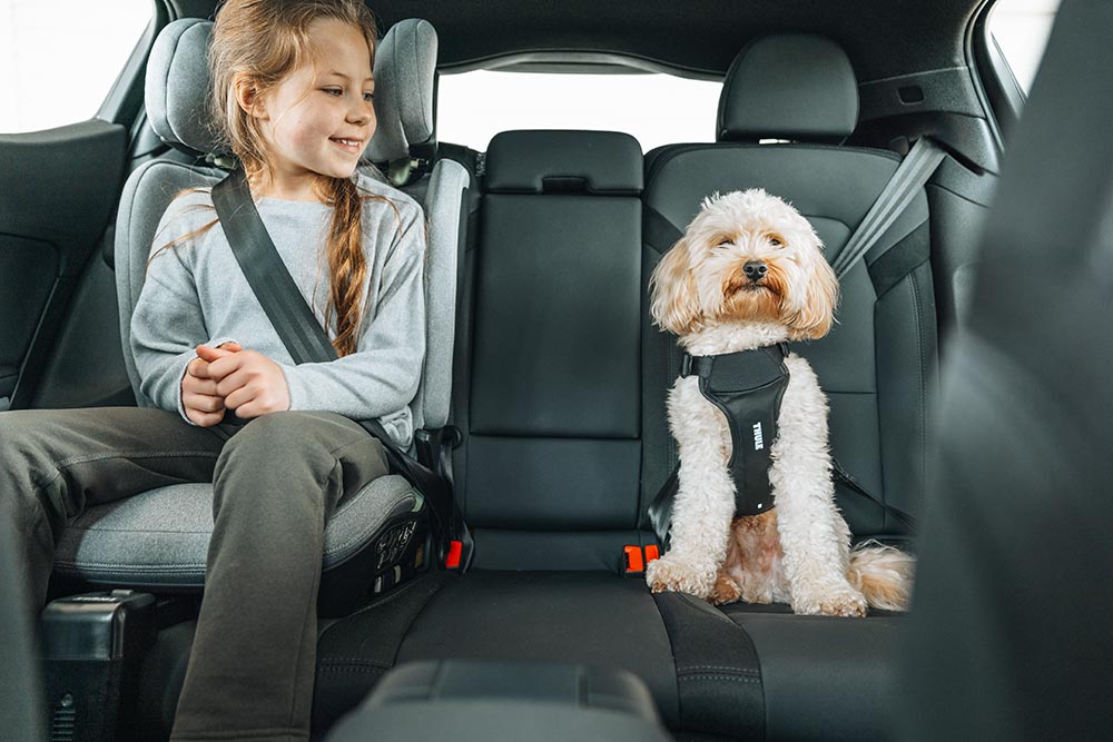 Thule Palm - il respecte les normes i-Size.